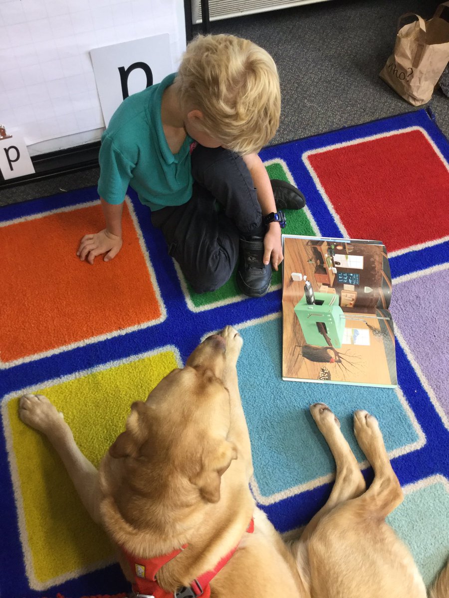 I love visiting Yarmer and having stories read to me. @ASTLAP #schooldog #sharingastory #welovereading