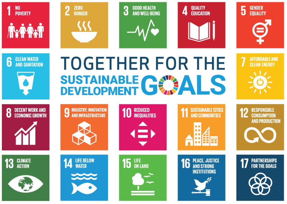 Today it is exactly 5 years since all 193 UN Member States adopted the 2030 Agenda, with at its core the 17 Sustainable Development Goals (SDGs). To celebrate this birthday and to highlight the ‘Decade of Action’ we hoist the SDG-flag today.
#togetherfortheSDGs #SDGActionDay2020
