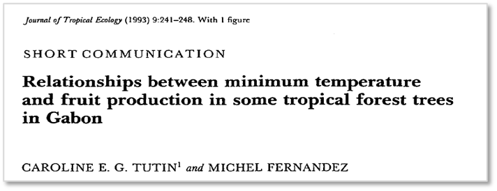 Incredibly, the changes demonstrated in our paper were predicted by pioneer researcher Caroline Tutin in 1993 when she discovered that some Lopé tree species depend on a critical drop in temperature during the dry season to trigger flowering ( https://www.jstor.org/stable/2559296 ). 9/