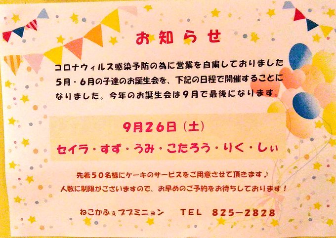 Cat Cafe Pupu Mignon キャット カフェ ププミニョン 神奈川県最大級の広さの猫カフェ かなめぐ 神奈川県旅めぐり