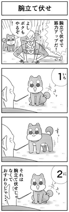 やましたたかひろ ポケモン４コマさん の最近のツイート 13 Whotwi グラフィカルtwitter分析