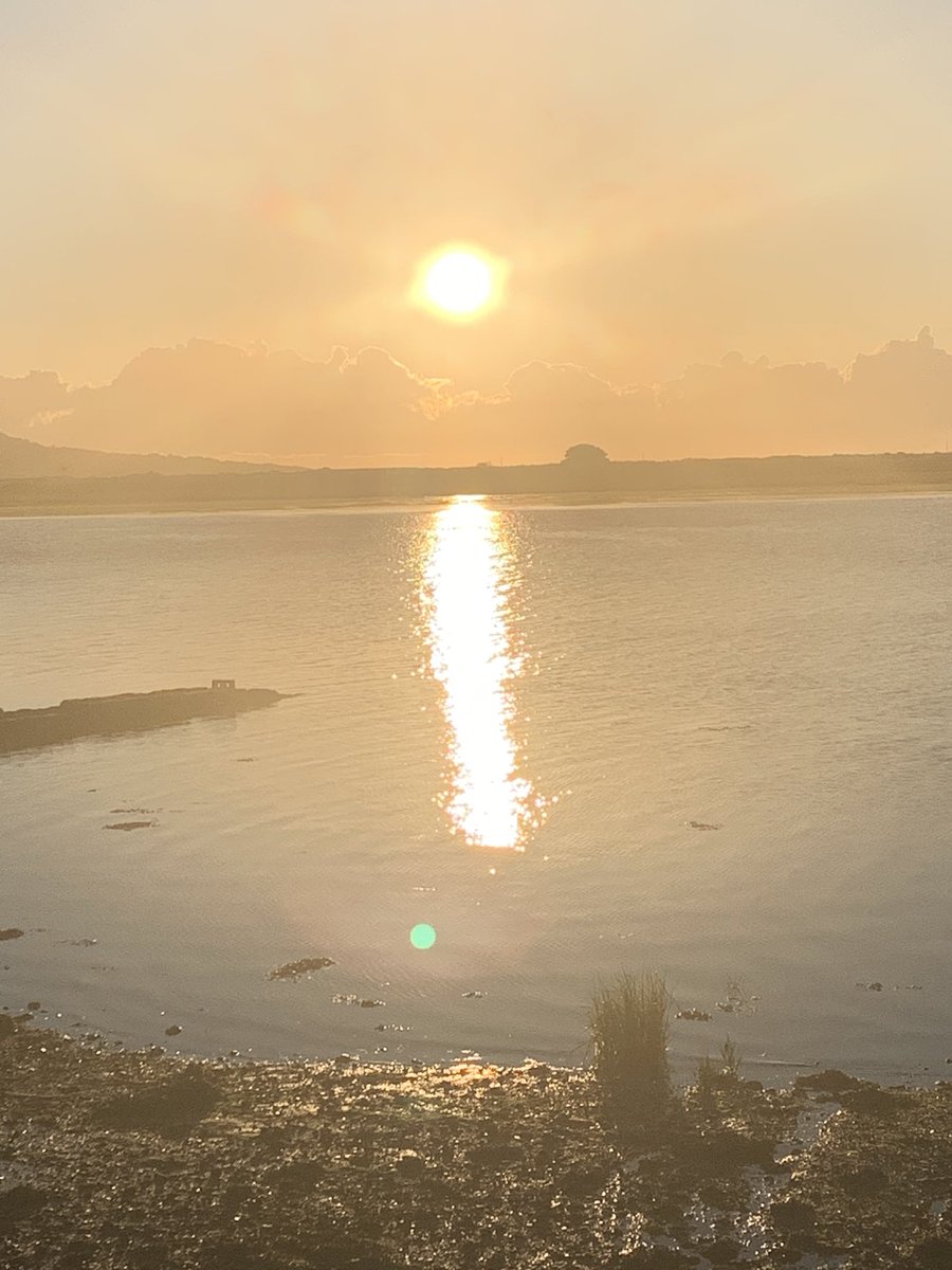 talktojoeduffy's tweet photo. Friday sunshine ⁦@loveclontarf_ie⁩ https://t.co/e79FA5Bu6a