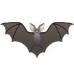 samsung. this is the classic bat shape. this is what i think of when i think of a bat. fingers and legs are both there, which other bat emojis seem to struggle with. docking points for no fangs and for not being particularly cute. 7/10