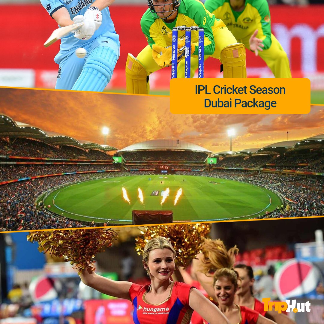 Triphutdotin's tweet photo. Get Ready to Pamper yourself with Dubai IPL 2020 Cricket Season Tour Packages of 4 Night Accommodation as well as a #Dubai City #Sightseeing #DesertSafari #DhowCruiseDinner #BurjKhalifa @ https://t.co/CPWREUxCFw

#TripHut #Traveling #Vacation #TravelGram #Holiday #TravelLife #IPL https://t.co/TK8XxmXaLg