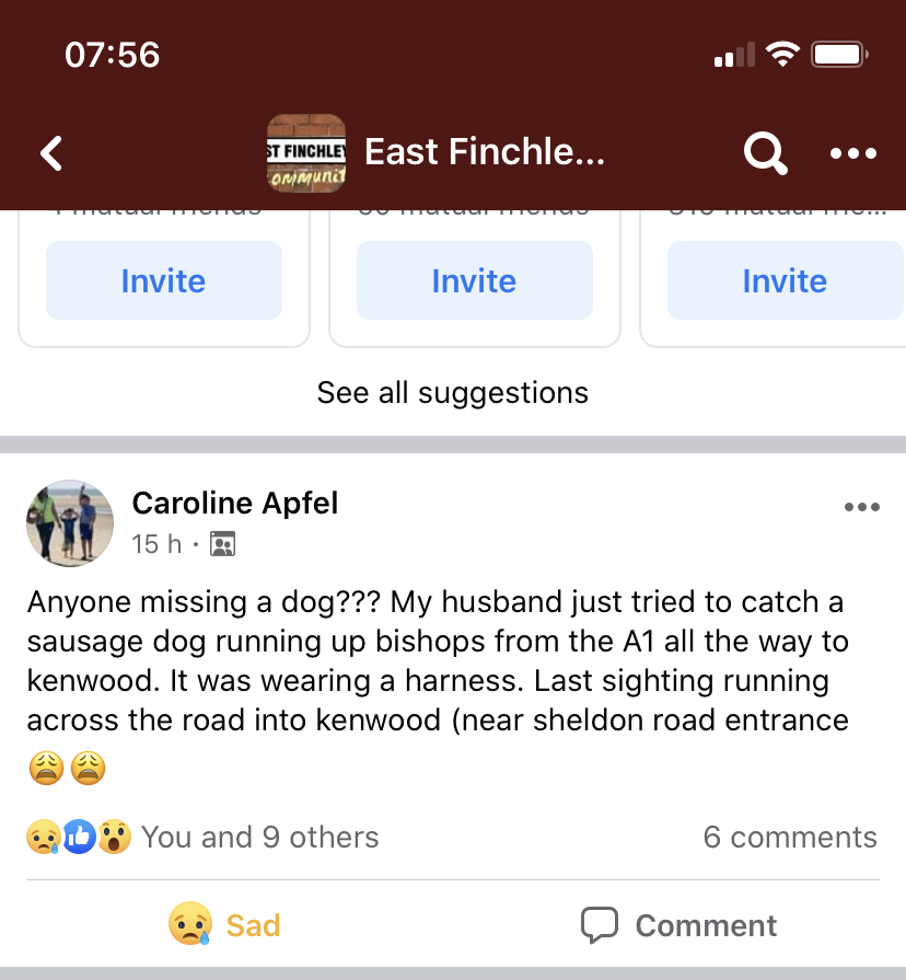 Judy Goldberg (@applestax) on Twitter photo LOST DOG: EAST FINCHLEY
Eyes peeled for a Long haired dashund type with harness on the run. Last seen north of Bishops Ave running towards <a href="/EHKenwood/">Kenwood House</a> last night.
#lostdog
#dachshund
<a href="/The_Animal_Team/">The Animal Team</a>
@DoglostUK LOST DOG: EAST FINCHLEY
Eyes peeled for a Long haired dashund type with harness on the run. Last seen north of Bishops Ave running towards <a href="/EHKenwood/">Kenwood House</a> last night.
#lostdog
#dachshund
<a href="/The_Animal_Team/">The Animal Team</a>
@DoglostUK