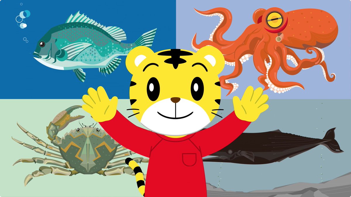 しまじろうのわお 番組スタッフ 明日は新曲 I Like Fish 英語に親しんでもらえるように という想いで企画されましたが とにかくジャジーでスウィングしててクールな曲が出来ちゃいました 海の生物のイラストは タカセマサヒロ さん イントロ しまじろうのわお 番組スタッフ 明日は新曲 I Like Fish 英語に親しんでもらえるように という想いで企画されましたが とにかくジャジーでスウィングしててクールな曲が出来ちゃいました 海の生物のイラストは タカセマサヒロ さん イントロ