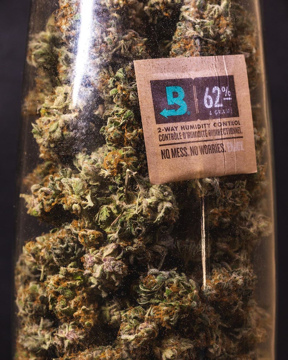 brucejay420's tweet image. 