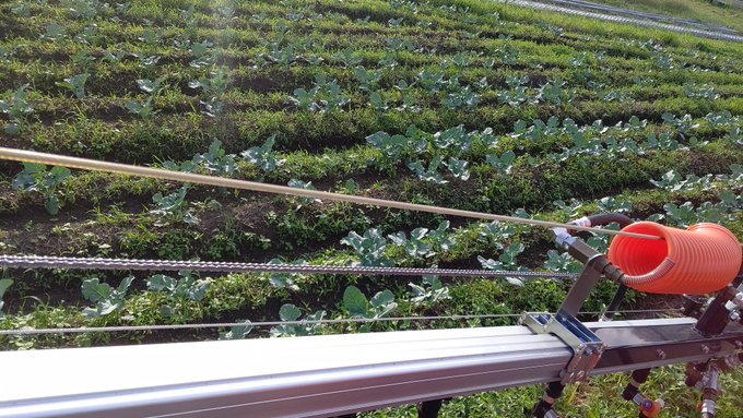 ホウ砂の使い道 基本的な使い方 用途から掃除の便利アイテムまで Bow バウ