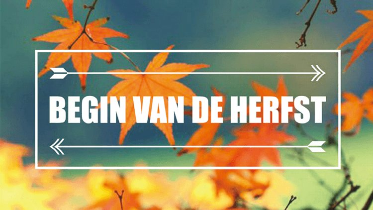 Goeiemorgen!
de herfst is begonnen ! Dat betekent meer binnen werken op kantoor. wilt u elke ochtend ook op een fris en schoon kantoor komen ? 
bel naar 050 8517544. Dat gaan ik en mijn collega's u het beste helpen!  
#diamant #herfst #schoonmaak #groningen #schoon