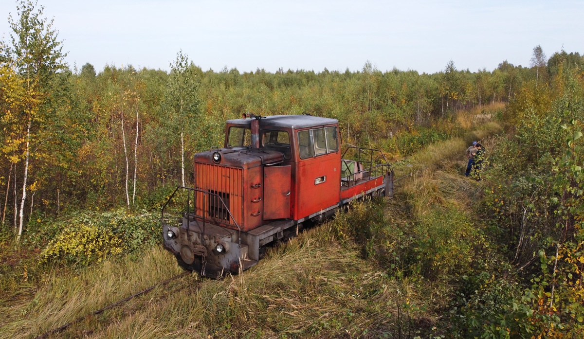 NGR_RU's tweet photo. Diesel locomotive TU6D-0202 on the Gusevskoye peat narrow-gauge railway in Vladimir Oblast, 24.09.2020. Photo: Aleksey Kalinin. #Russia #narrowgauge #train #schmalspurbahn #transport #eisenbahn #railroad #railway #bahn #ужд #узкоколейка #feldbahn #TU6D #zug #torfbahn #rurailways https://t.co/SOhpUUC8U7