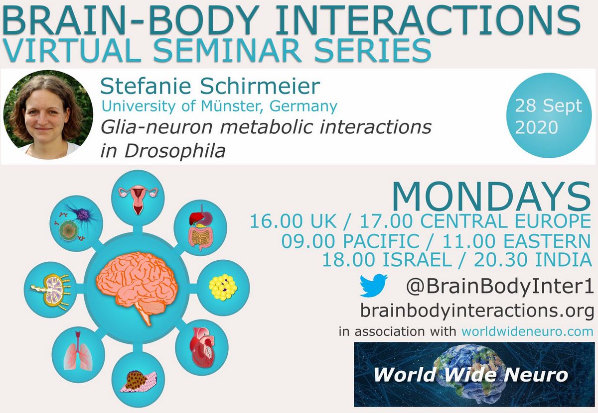 Carlos Ribeiro (@ribeirocarlitos) on Twitter photo Want to know how the #brain makes sure it gets the fuel it needs? How this affects #brain function and #development? Join us next Monday <a href="/BrainBodyInter1/">Brain-Body Interactions</a> to listen to Stefanie Schirmeier of <a href="/WWU_Muenster/">Universität Münster</a> talking about
#glia #neurons #metabolism #neurobiology #drosophila. Want to know how the #brain makes sure it gets the fuel it needs? How this affects #brain function and #development? Join us next Monday <a href="/BrainBodyInter1/">Brain-Body Interactions</a> to listen to Stefanie Schirmeier of <a href="/WWU_Muenster/">Universität Münster</a> talking about
#glia #neurons #metabolism #neurobiology #drosophila.