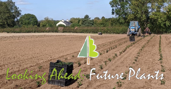 Looking to the future🌱🌿🌳Planting new stock for future landscapes is really hard work. Hills have been planting out 𝑃𝑟𝑢𝑛𝑢𝑠 𝑙𝑢𝑠𝑖𝑡𝑎𝑛𝑖𝑐𝑎 (Portuguese Laurel) - evergreen #landscaping favourite #plantingseason #growers #Horticulture hillandsons.co.uk/blog-headlines…