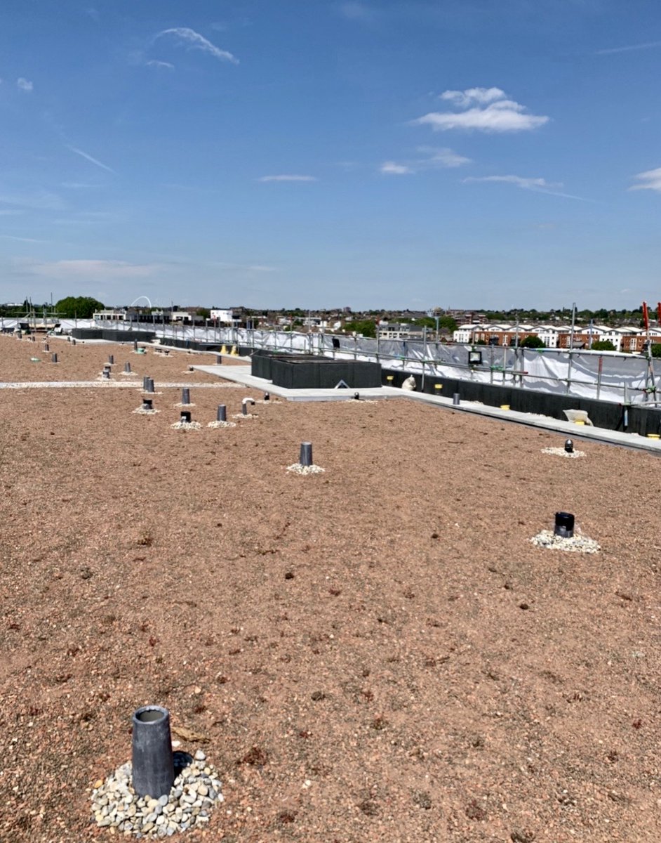 #FRIDAYFLASHBACK!
Our client had specific needs for this project at Wornington Road and being next to one of the busiest railway junctions in London, we had a TfL safety adviser watching throughout the installation.
Great result!
essexgreenroofing.co.uk/case-studies.h…
#greenroof #waterproofing