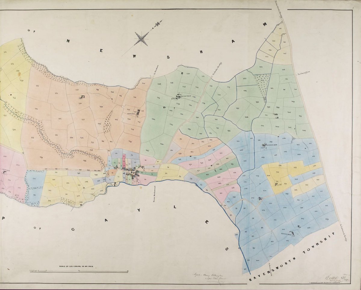 nyccarchives's tweet photo. T is for Tithe map &amp; apportionment. Our volunteers are transcribing the apportionments for the 300+ tithe maps in our collections to list land owners, occupiers, field names, usage and plot size. This one is for #Danby. #ArchiveZ #ExploreYourArchive https://t.co/wF4svsORo9