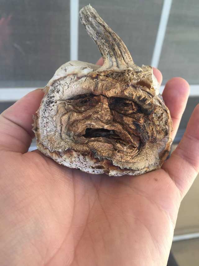 AndrewsNotFunny tweet picture