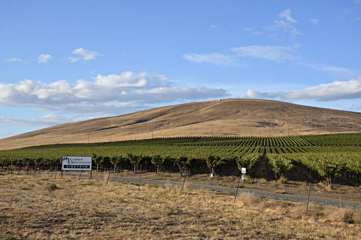 Sweet 16! Candy Mountain becomes Washington’s newest appellation. bit.ly/36agkYG #WAwine #wine <a href="/WineBusiness/">WineBusiness.com</a>