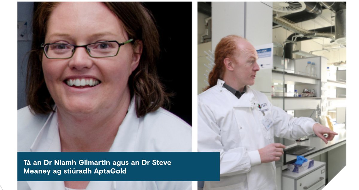 📣Nuacht iontach <a href="/SimonHarrisTD/">Simon Harris TD</a> <a href="/DeptofFHed/">Department of Further and Higher Education</a> go bhfuil taighdeoirí <a href="/ESHIatTUDUBLIN/">SHRH-TUDUBLIN</a>  <a href="/WeAreTUDublin/">TU Dublin / OT Baile Átha Cliath</a> ┐ ollscoileanna eile le tástáil choróinvíris a fhorbairt bunaithe ar sheile a chuirfidh torthaí ar fáil taobh istigh de chúpla nóiméad

AptaGold➡️bit.ly/3cu5EVY #COVIDー19