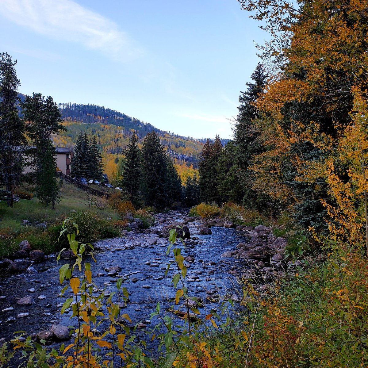julieadriansen's tweet photo. Good Morning. #getoutside and have some FUN this weekend.
#vaillife
#themountainsarecalling https://t.co/sdyFS0dNAv