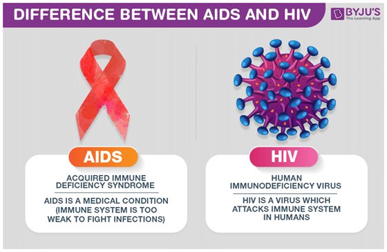 فيروس نقص المناعة البشري hiv يهاجم الخلايا