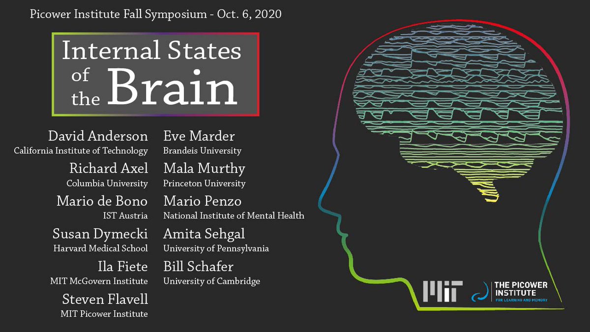 MIT Picower Institute tweet media