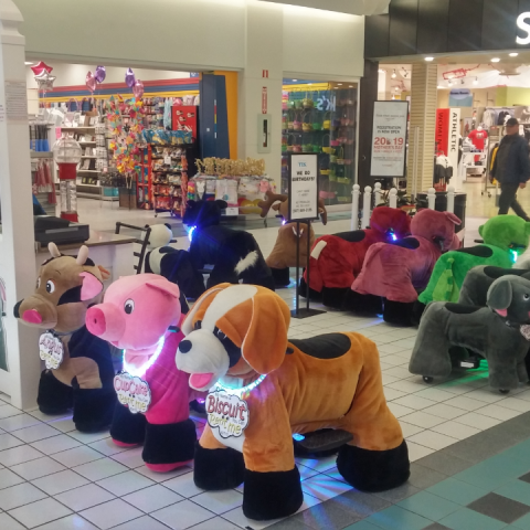 buyandsellabiz's tweet photo. #StuffyRiders @WestbrookMall #ForSale on @buyandsellabiz, check it out - https://t.co/s9QkrFcco4 #franchiseforsale #BuyAndSellABusiness #betheboss #bizforsale | Location: #Calgary, #Alberta, #Canada | Asking Price: $44,900 CAD https://t.co/LaJouEk8Zf