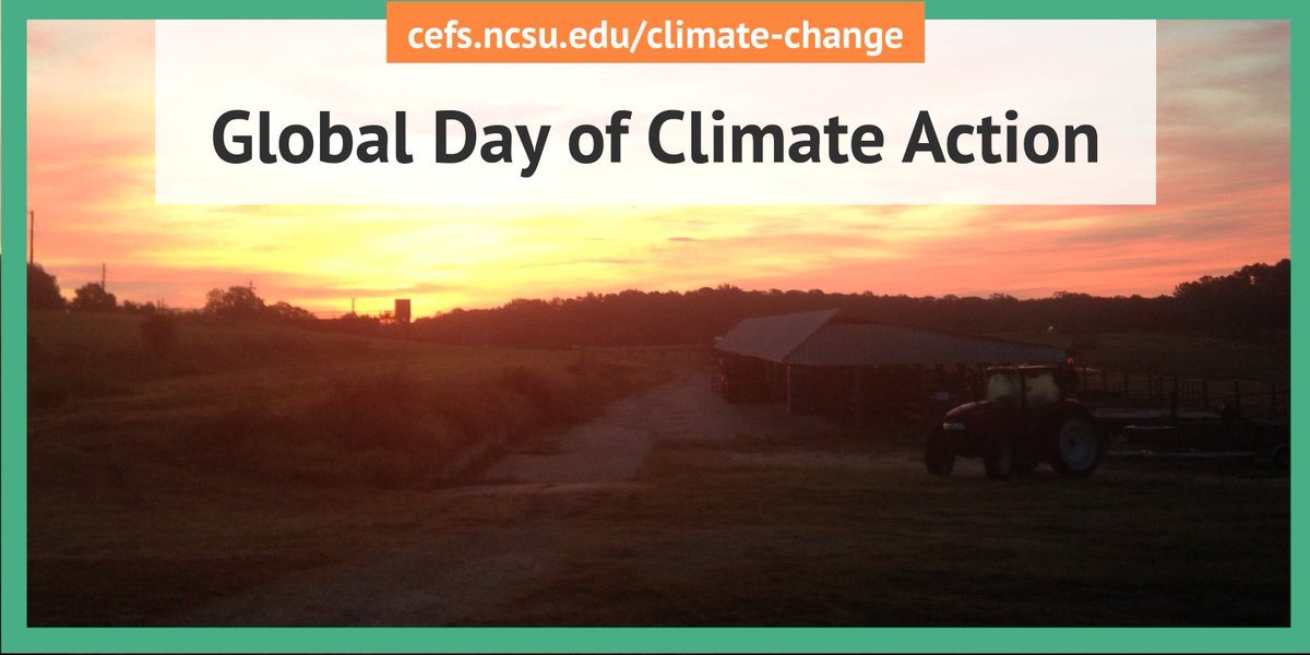 CEFS works to create resilient local food systems and find evidence-based solutions for food producers and consumers to mitigate and adapt to #climatechange
Learn more about CEFS’ climate change work cefs.ncsu.edu/climate-change
#FightClimateInjustice @Fridays4Future #FridaysForFuture