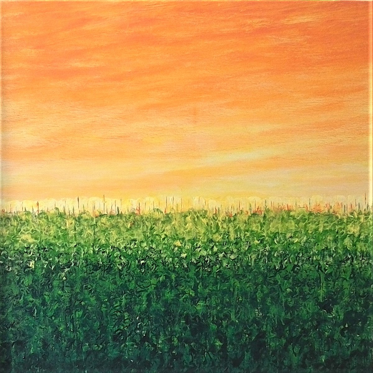 So excited to be racing Outlaw X tomorrow. Time to put the paintbrush down and pick up my bike shoes. #artists #ArtistOnTwitter #triathlete #Outlaw