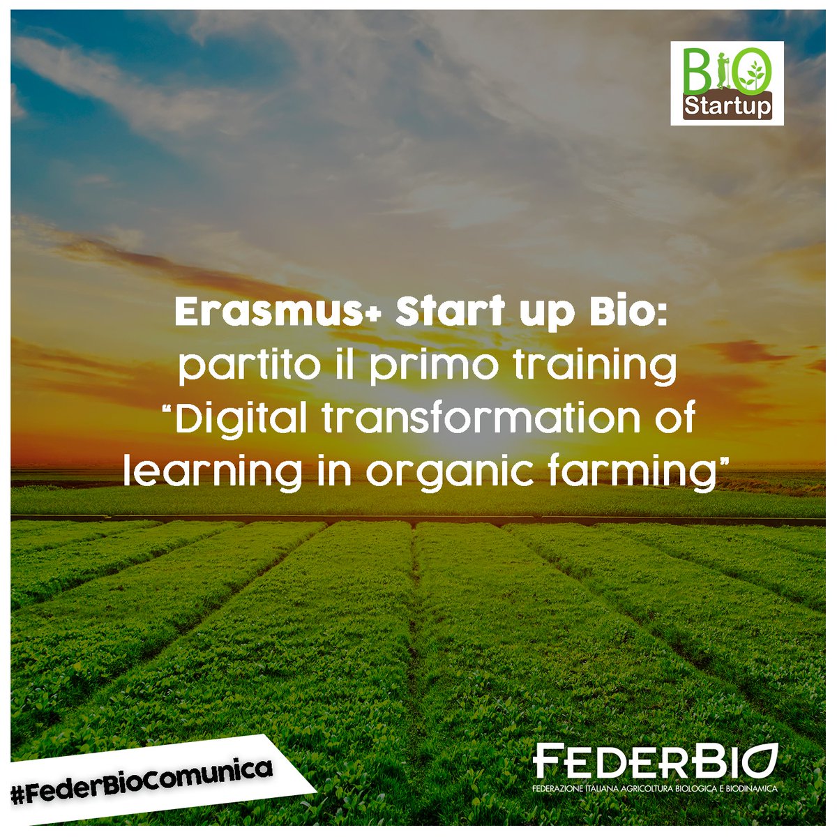 FederBio's tweet photo. #FederBioComunica
➡️ Scopri di più: https://t.co/xcnJZ1h6Li
🎯 Il progetto, frutto di una partnership tra #FederBioServizi e #Centoform Formazione, è finalizzato alla creazione di nuova occupazione favorendo la transizione all’#agricolturabiologica.
#SkillsWeek2020 https://t.co/1kxZPikw93