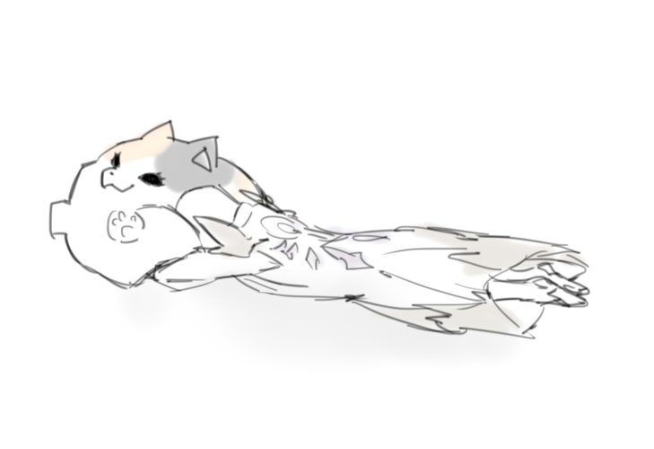 ファットキャットのクッション買ったエリディブス