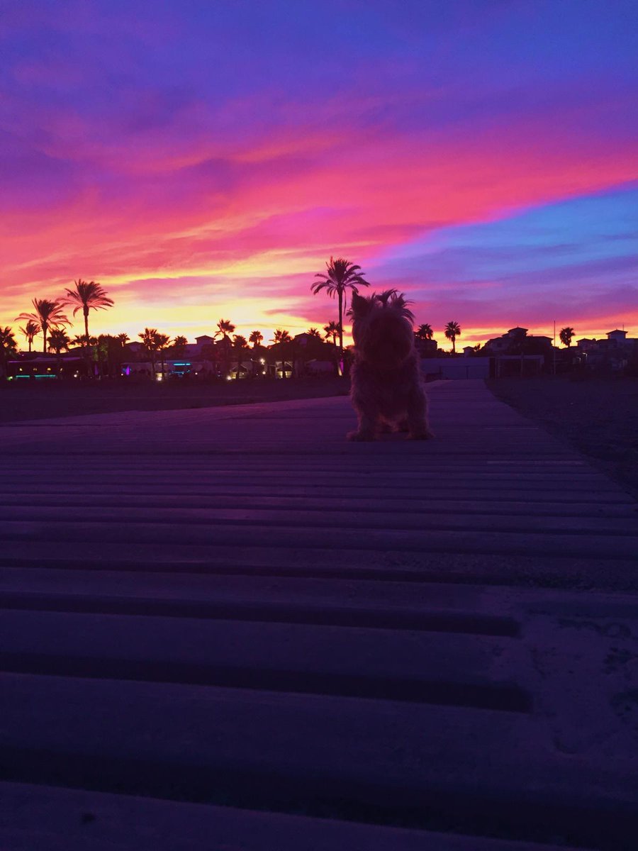 Tengo una tristeza, un dolor tan profundo, que no creo que pueda superar.  Es difícil no echarme la culpa. Es imposible dejar de pensar en ti.  Descansa en paz, Karina. Has dejado un vacío enorme. Gracias por estos 16 años juntas, nos lo hemos pasado genial. Siempre te querré.