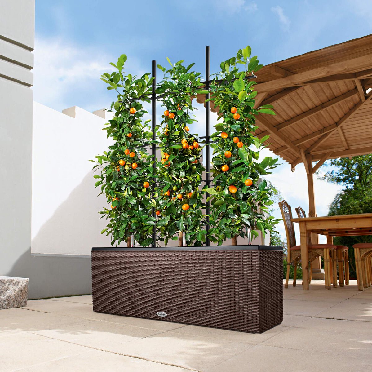 CatapultNature's tweet photo. We bring you the best of the best, our trio cottage planter with the self-watering system.  Whatsapp us via 073756524 for more information. https://t.co/dxg8TQKpdu