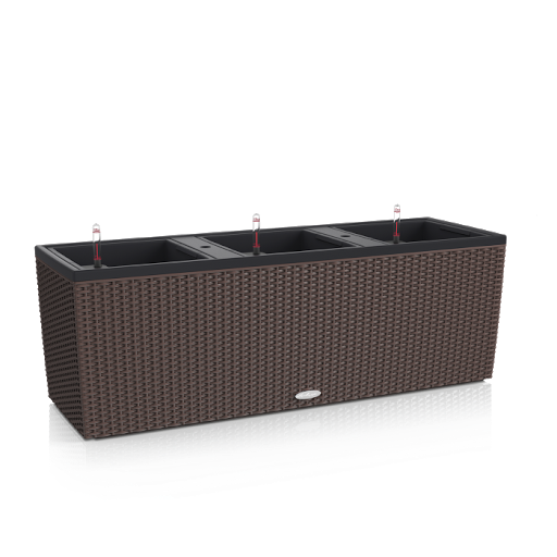 CatapultNature's tweet photo. We bring you the best of the best, our trio cottage planter with the self-watering system.  Whatsapp us via 073756524 for more information. https://t.co/dxg8TQKpdu