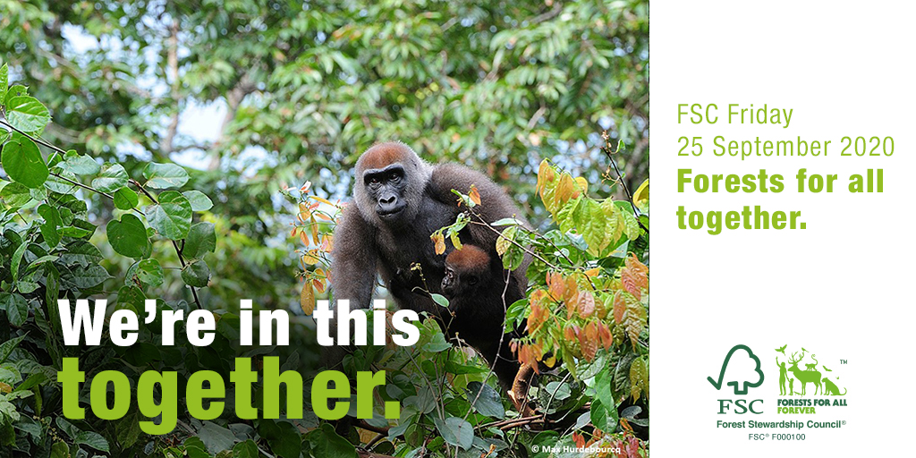BabySoft_SA's tweet photo. Today is FSCFriday2020. Follow @AfricaFSC as they share how they bring people together to care for our forests. #ForestsForAllTogether #ForestsForAllForever #FSCFriday2020
For more information: https://t.co/MEBVOAWhEK https://t.co/ef2K2DPmqa