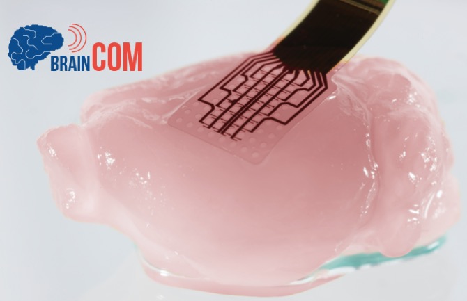 BrainComEU tweet media