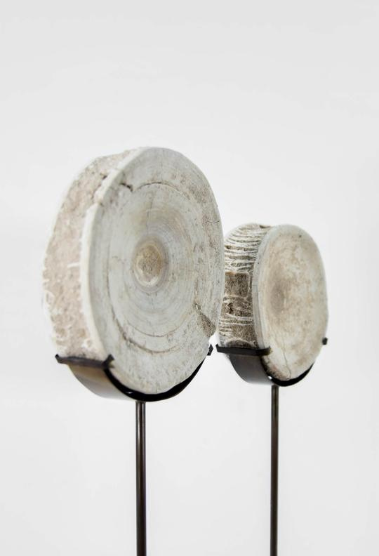 thefossilstore's tweet image. Natural History has never looked so good! To view the latest mounted #fossil creation go to our #shark pages&amp;gt;thefossilstore.com/search?q=otodu…