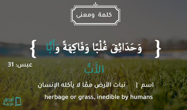 الأبُّ: عشب المرعى، نبات الأرض الذي تأكله البهائم والأنعام ولا يأكله الإ،سان.
نقول:  فلان راعَ له الحَبُّ وطاع له الأبُّ، أي زكا زرعه واتَّسع مرعاه.

##جمعة_مباركة