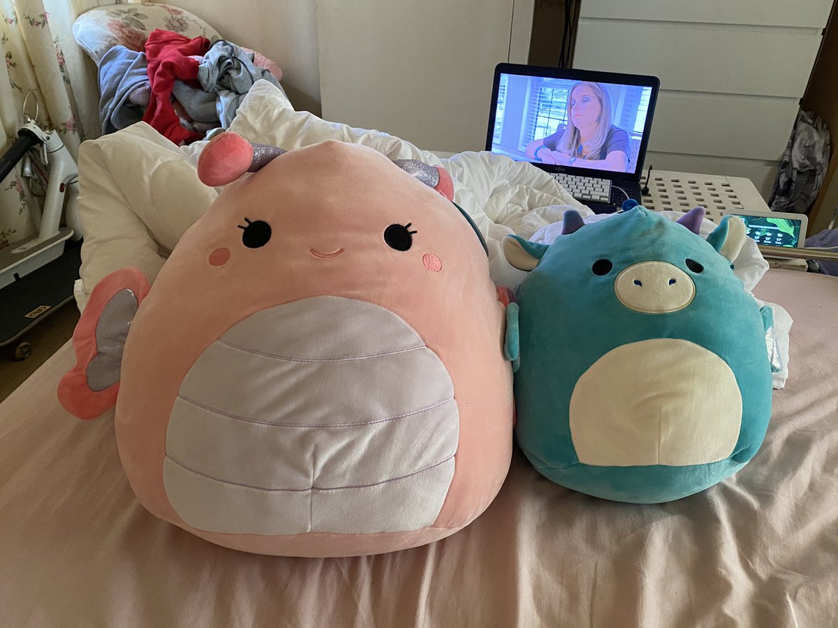 fuckwithfauna's tweet photo. hehehe am a squishmallow hoarder https://t.co/sYkUaPsTVL