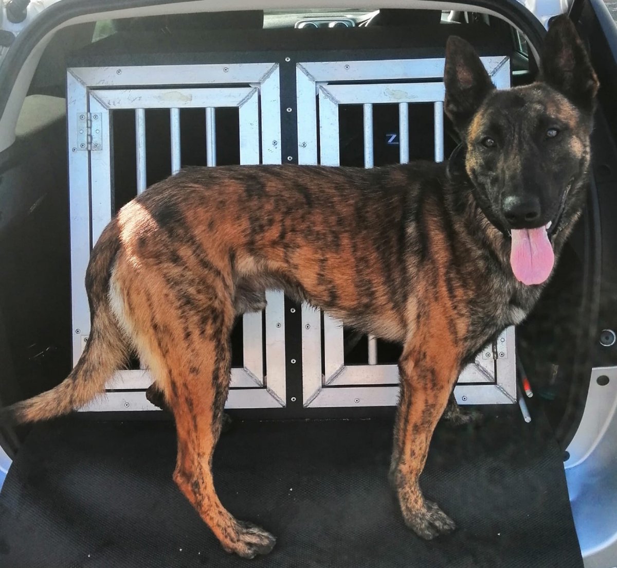 LancsPolDogUnit's tweet photo. Excellent team work this morning has resulted in 2 suspects Being arrested for supply of drugs and breach of injunctions. Well done @LancsTacOps #forcecontrolroom and PD Koa and Handler. PD Koa gained complete compliance from both suspects resulting in a safe resolution. 👏🐕 https://t.co/mdDQptyZZE