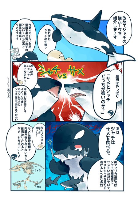 Twoucan ホホジロザメ の注目ツイート イラスト マンガ コスプレ モデル