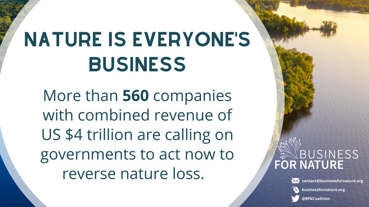 PositiveLuxury's tweet photo. #PositiveLuxury recognises we must act together to reverse nature loss. That’s why we’ve signed @BfNCoalition's Call to Action urging governments to adopt ambitious nature policies now  > https://t.co/nq7aCMM0lL  

#PositiveLuxury #ButterflyMark #natureiseveryonesbusiness https://t.co/yGk7oUh1P3