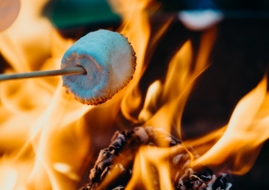 planetcamping's tweet photo. Have you ever toasted marshmallows on an open fire? 😍

#camping #nature #food #fridayfeeling https://t.co/vVxNHNnqbk