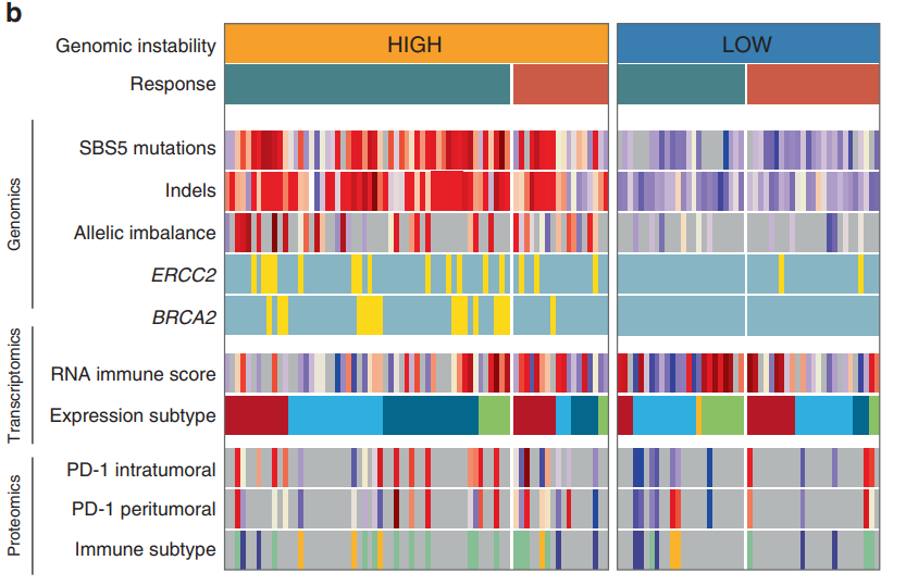 LDyrskjot's tweet photo. Can we predict response to chemotherapy? We investigate this in a cohort of 300 MIBC patients - paper is out today in @NatureComms: https://t.co/4ZdQDhbroj

Huge team effort- thanks to all coauthors and collaborators, and thanks to @novonordiskfond @DFF_raad for support. https://t.co/dFHYRfLIls