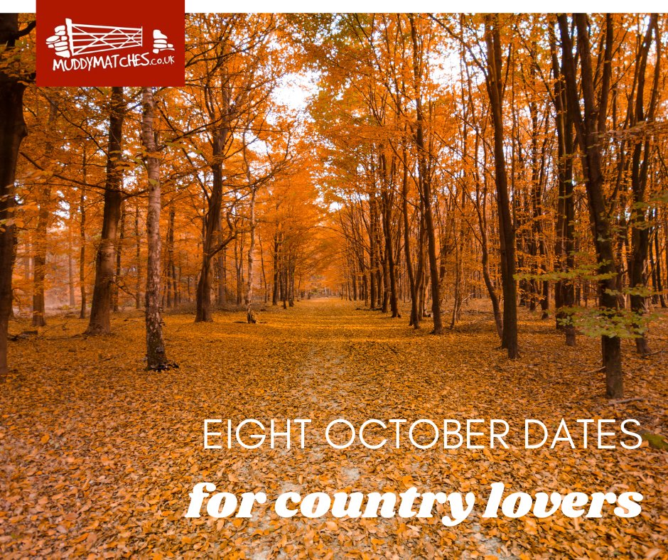 MuddyMatches's tweet image. We’ve selected some of the Muddy Matches team’s favourite ideas for seasonal, Autumnal dates. Wrap up warm and get out in the fresh air for one of these romantic rural dates as September turns into October...

muddymatches.co.uk/dating-advice/…

#Autumn #CountryDating #MuddyMatches