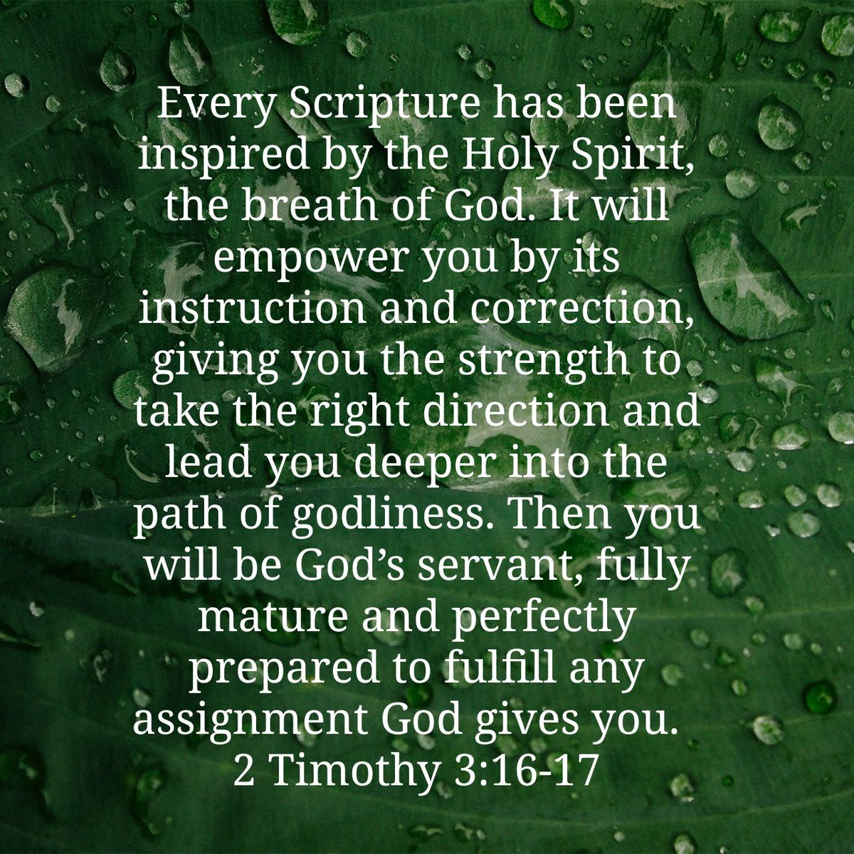 nesanborn's tweet photo. Every Scripture has been inspired by the Holy Spirit, the breath of God. It will empower you b…
https://t.co/KTmPlmnFhb https://t.co/7fBk9yiywo