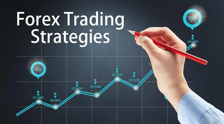 Forex trading rules I will earn money on forex