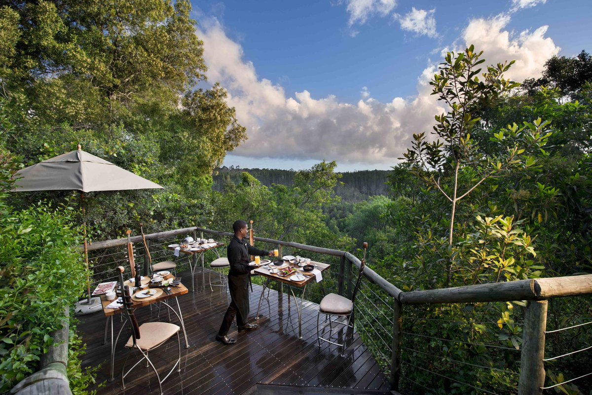 TourismTouch's tweet photo. Set amidst the treetops of a forest, with its impressive stone-masonry entrance. Tsala welcomes you to experience the breathtakingly beautiful, encompassing lush forest with rolling valleys through their intimate glassed-in lounge

Contact us today, to make this dream a reality! https://t.co/TSIUpCnovb