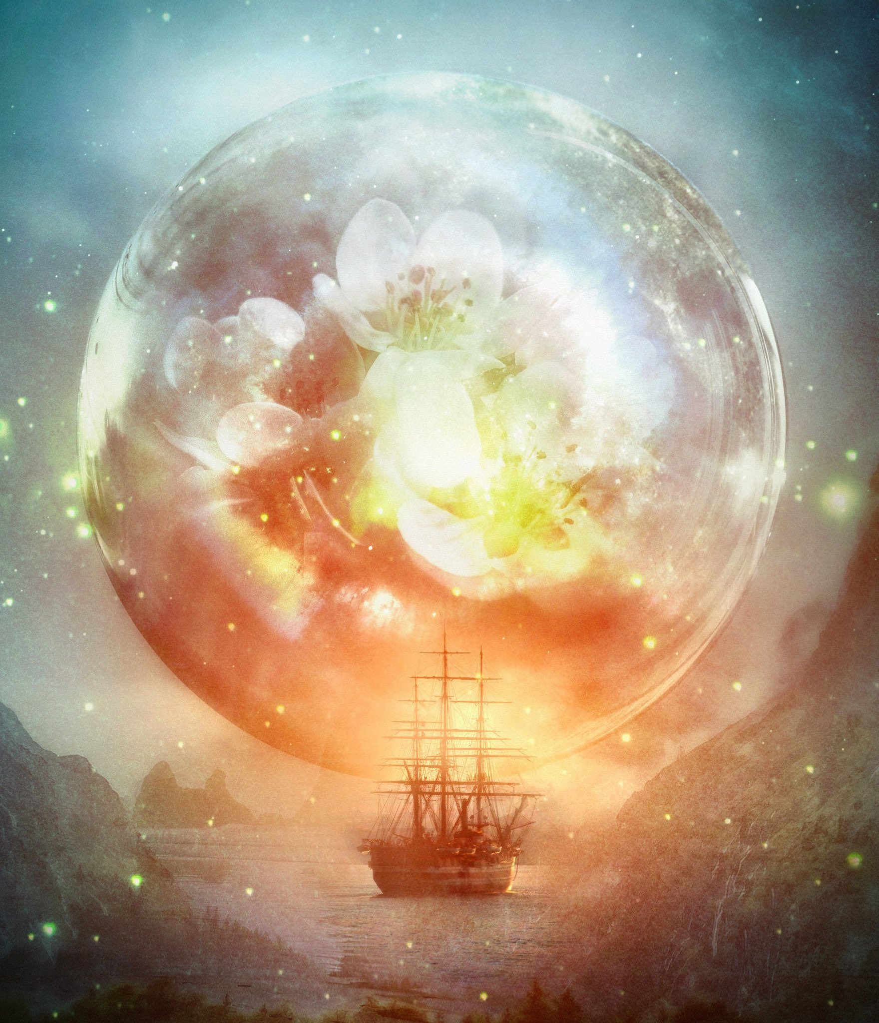 MOON☪︎ପଓ*ೃ様　　琉球*海花のたね MOVED على X: 