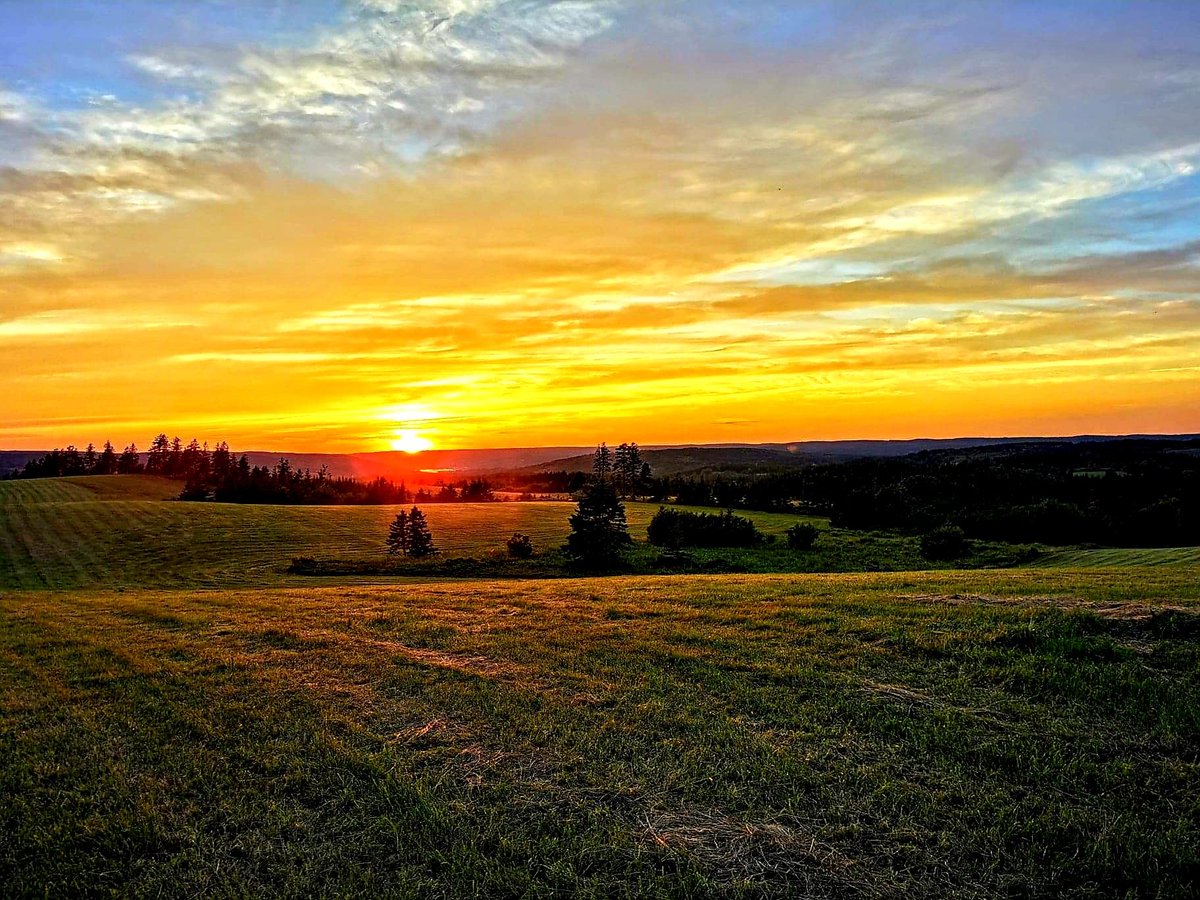 WalterWestfall's tweet photo. "Beautiful Morning Sunrise" https://t.co/ctre4doCfv