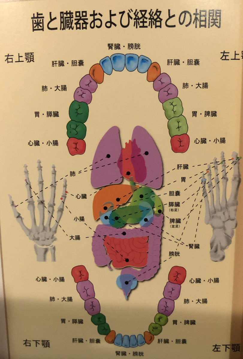 松原秀樹 歯 が原因で 血圧が高くなったり 心臓 がバクバクすることもある とくに 親知らず は 心臓と関連している また 首には 心臓神経 が通っている 脳と心臓をつなぐ自律神経だ 首のコリによって心臓神経が興奮すると 心臓がバクバク