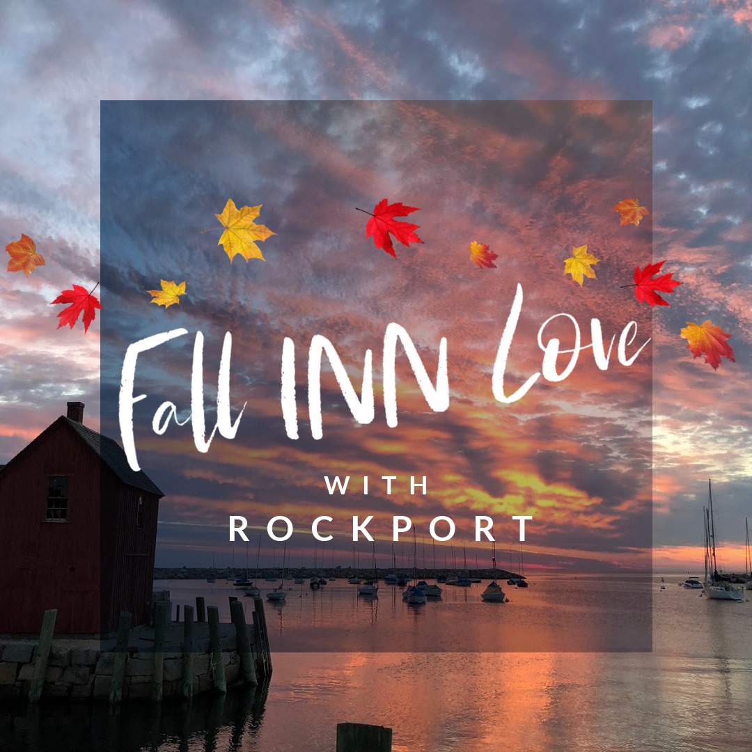 Winner will be picked TODAY! conta.cc/32XoaDf